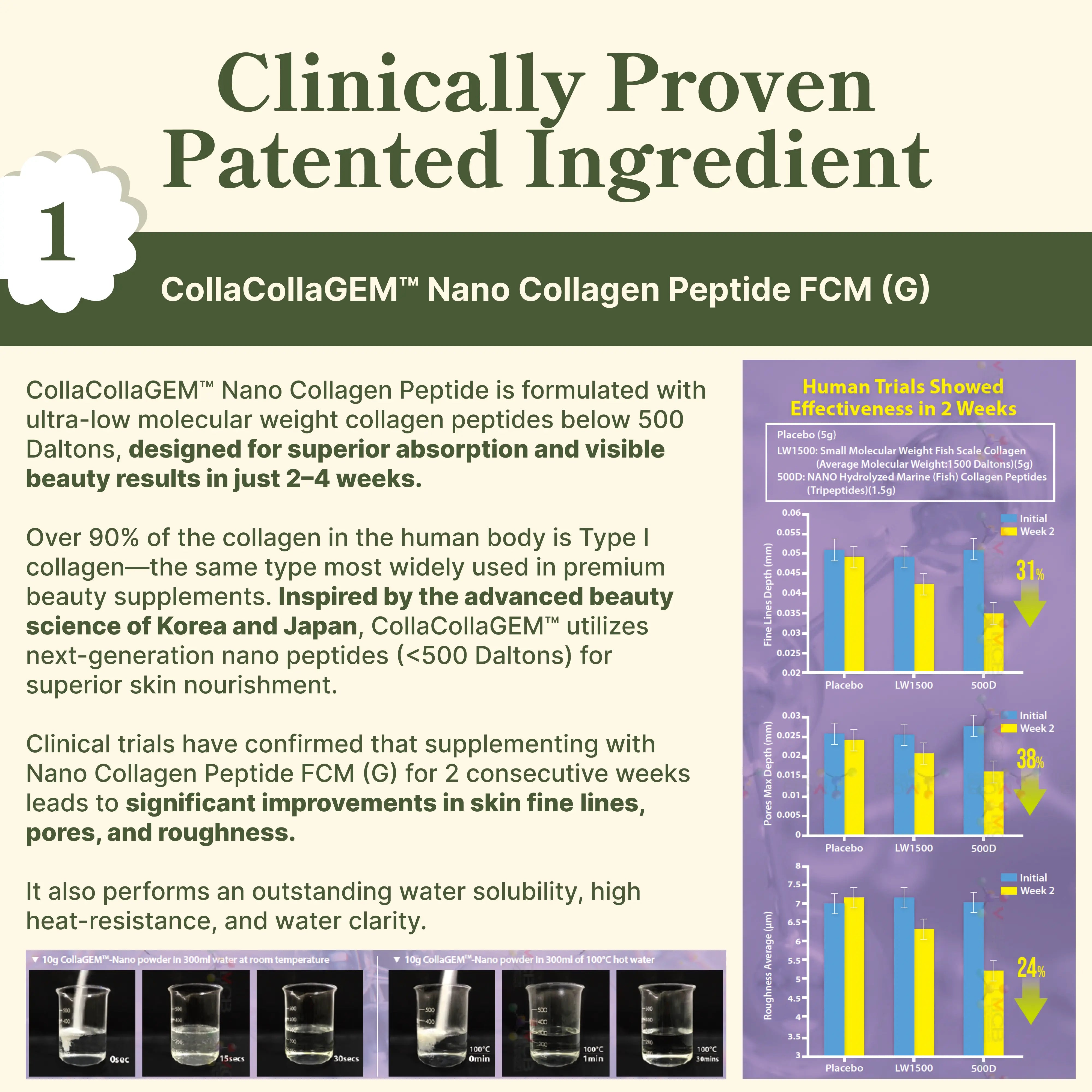 Japanese Matcha Latte My Store